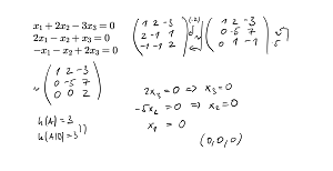 Homogenní soustava lineárních rovnic - jediné řešení